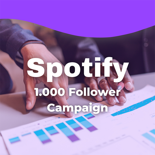 1K Spotify Follower Campaign