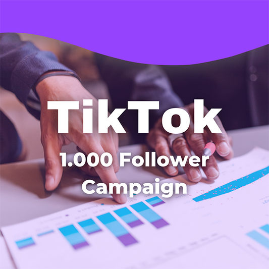 1K TikTok Follower Campaign